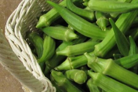 Fried Okra; It's NOT Slimy! Image